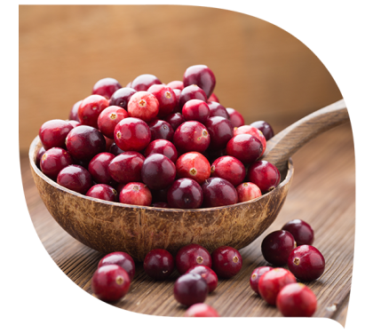 LA CRANBERRY, QU’EST-CE QUE C’EST ?