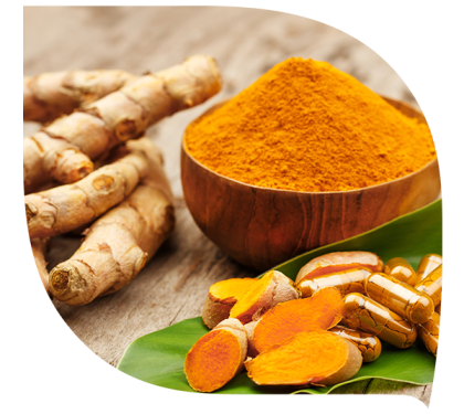 LE CURCUMA : QU'EST-CE QUE C'EST ?