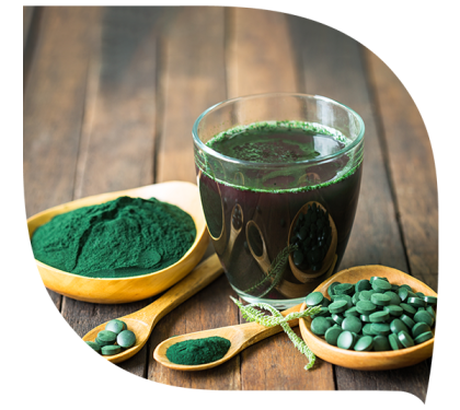 LA SPIRULINE, QU’EST-CE QUE C’EST ?