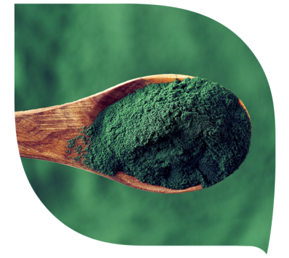 LA SPIRULINE